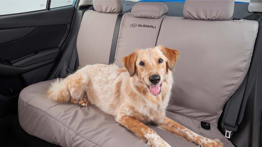 Subaru impreza store dog seat cover